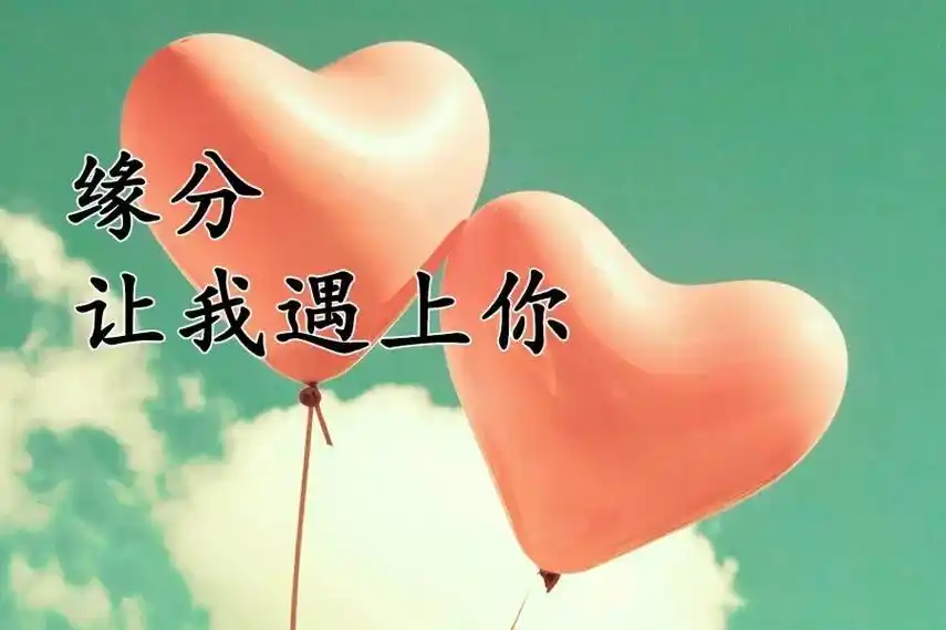 人和人相遇是天意,人和人相守是人意,真诚相待才会走得长远,想 - 抖音