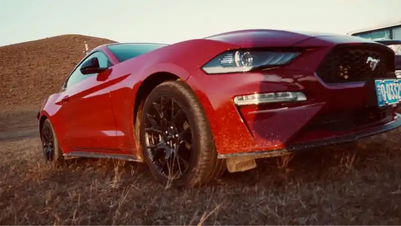 带着奔驰的小野马去草原跑了一圈