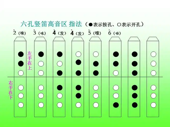 6孔竖笛指法教学与练习