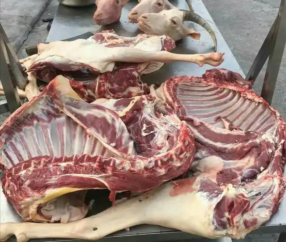 蛟湖九九餐饮山羊肉火锅开锅啦!