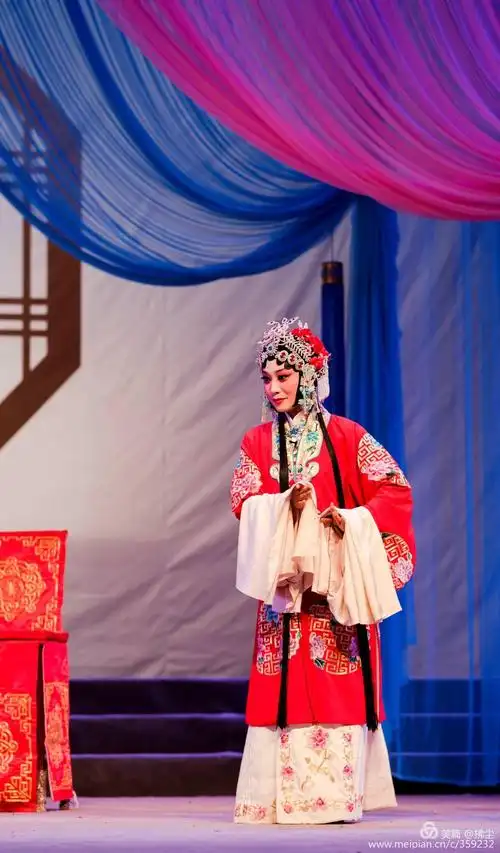 豫剧《花打朝》全场剧照