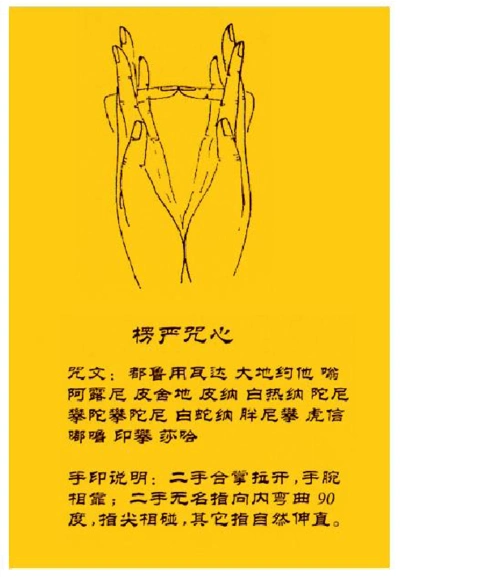 文档下载 所有分类 人文社科 哲学/历史 > 楞严咒手印楞严咒手印说明