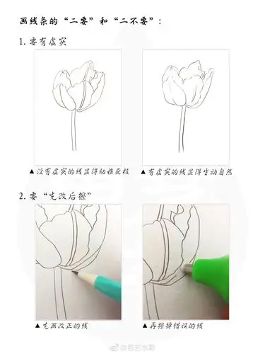 绘画入门纯干货!