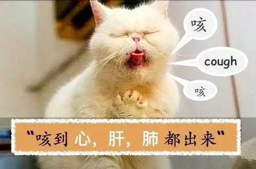 肺都要咳出来了图片 搞笑图片