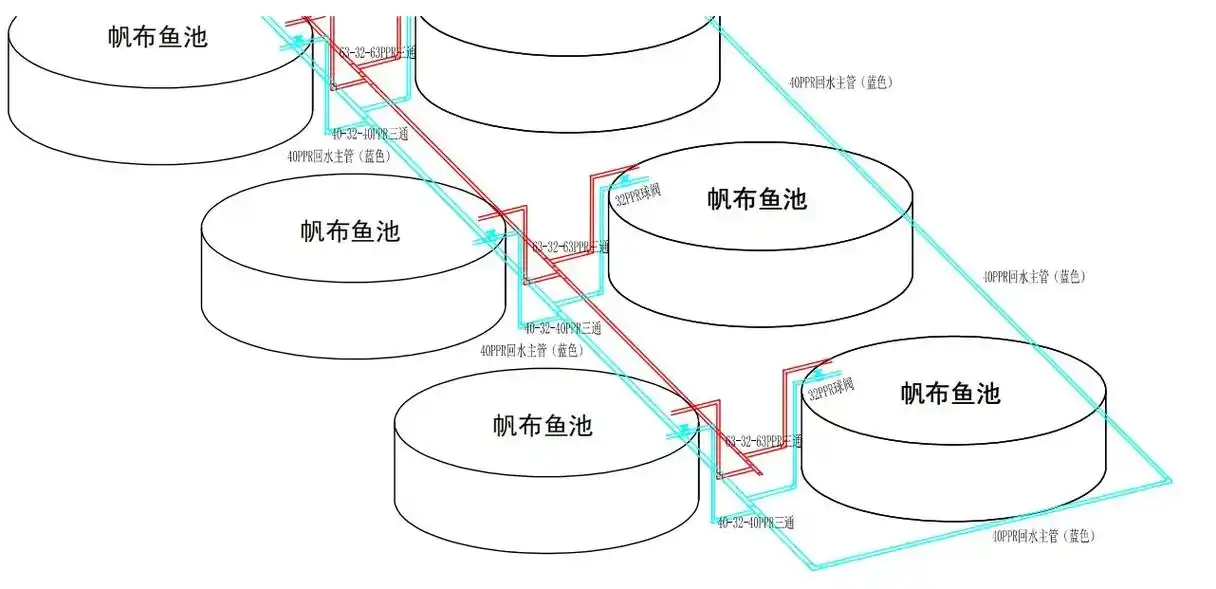 刀刮布镀锌板帆布鱼池#高密度养殖加州鲈鱼 - 抖音