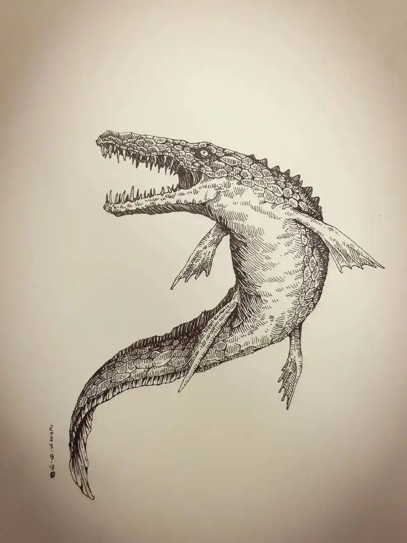 沧龙#手绘 #绘画过程分享 #黑白线描画 #灵魂画师 #视觉 - 抖音