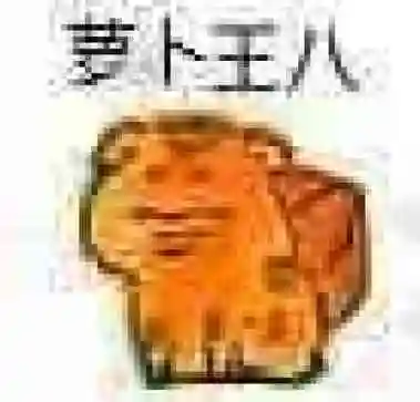 表情包,王八系列