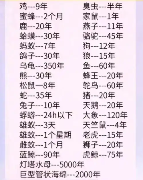 动物的寿命,古代到今年大龟长寿468797654岁