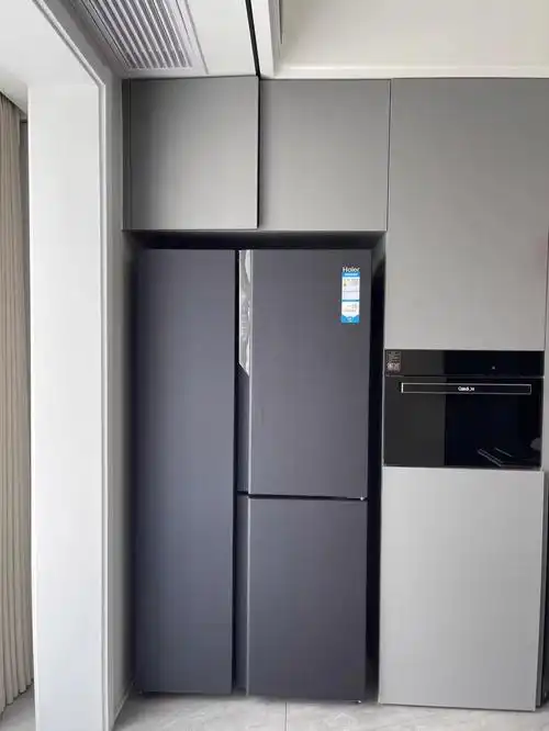 海尔501wlhts19b9u1t型门超薄冰箱