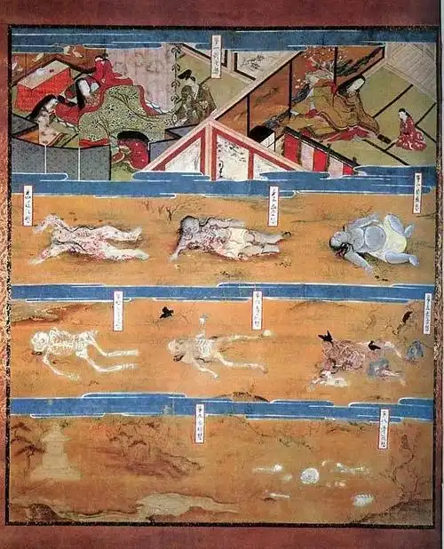 《尸体变化图鉴》读后随记(尸体变化图鉴)书评