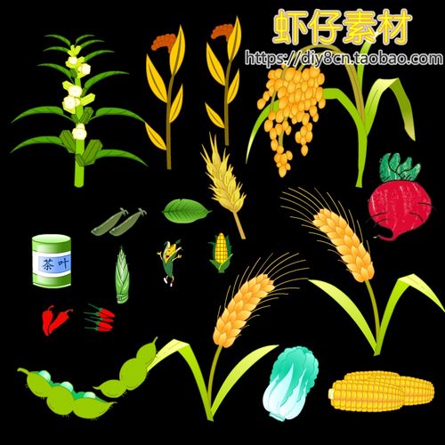 an/flash源文件蔬菜水果葡萄苹果香蕉西瓜农作物矢量道具动画素材