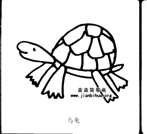 乌龟简笔画