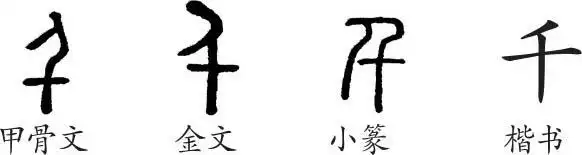 甲骨文从十,从人.金文稍讹.