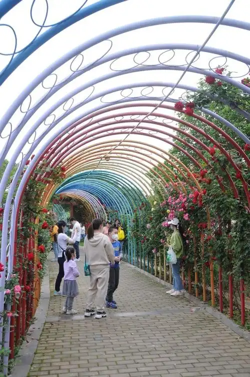 南昌滨江月季园