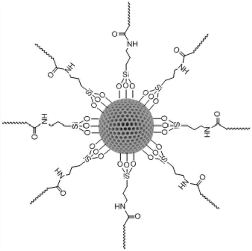 一种介孔二氧化硅表面修饰含活泼氢有机物的方法与流程