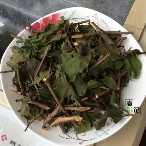 中药材野生杨桃寄生500g寄生无碎渣老草药收购店供正品保证