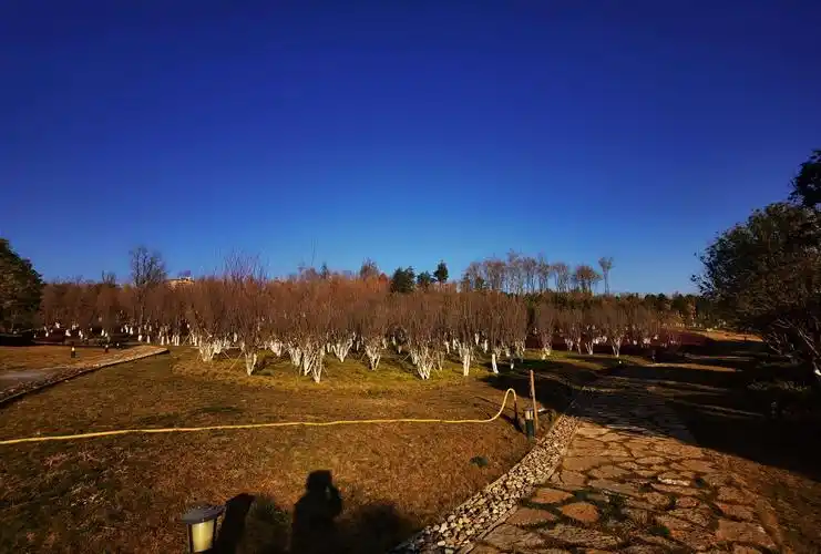 呈贡白龙潭湿地公园
