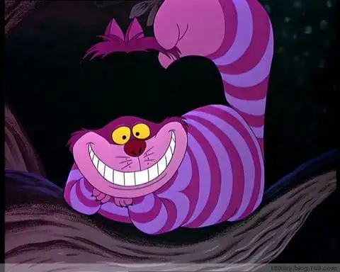 展开全部 柴郡猫的q版