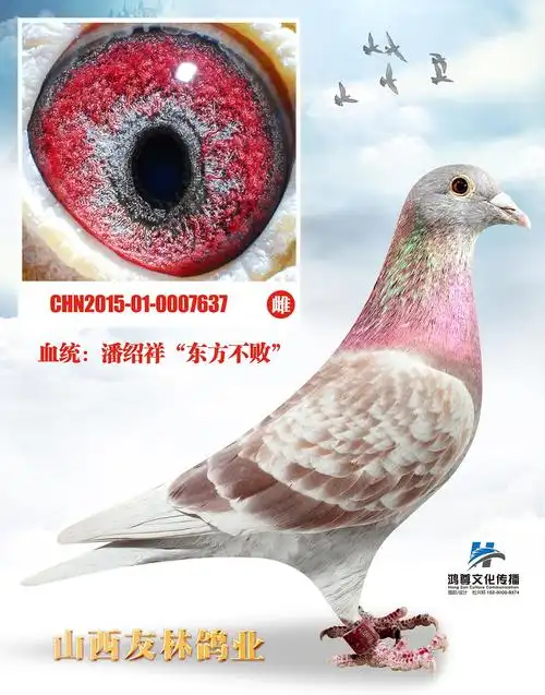 潘绍祥东方不败