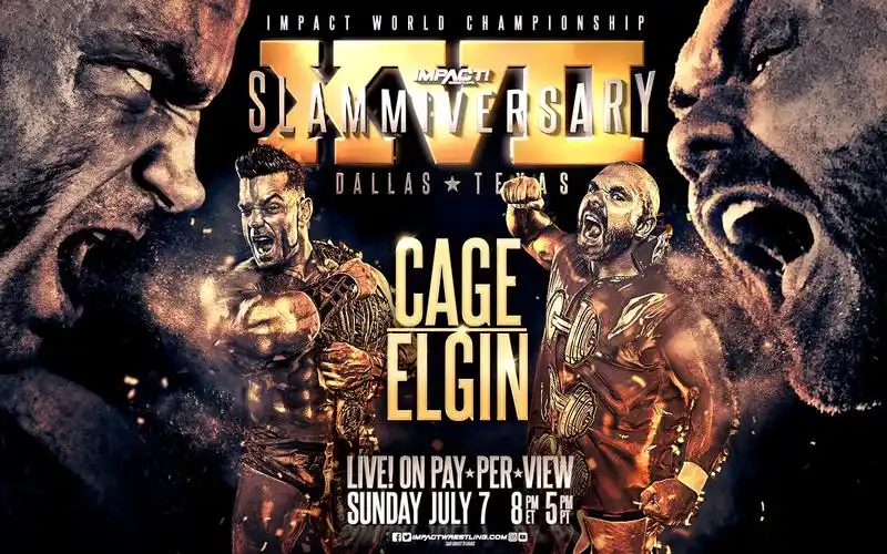 08 impact wrestling slammiversary 17 世界冠军赛:brian cage vs.