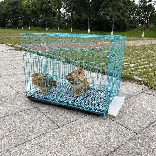鸡笼雏鸡笼子家用小号加密小鸡养殖折叠鸡舍鸟笼