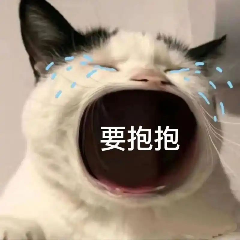 哭泣猫咪表情包  自用,避免以后找不到了