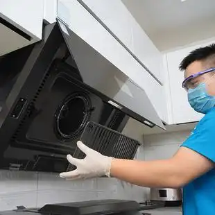 老板油烟机65x2单烟机