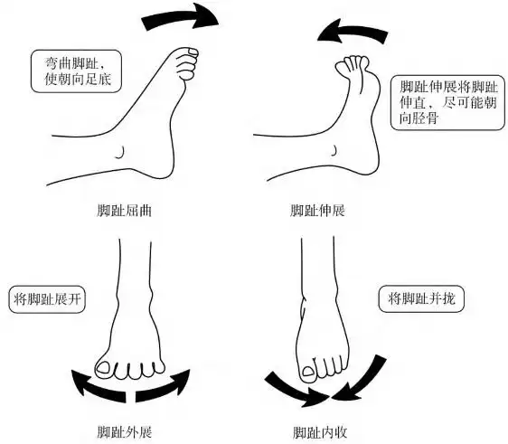 足内翻 0°～40°,足外翻0°～20°1.踝关节跖曲0～45°,背曲0～20°.