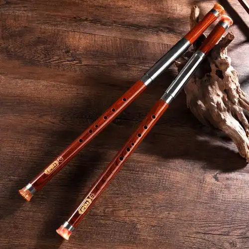 入门男女初学小学生成人竖吹横吹调降树脂乐器巴乌