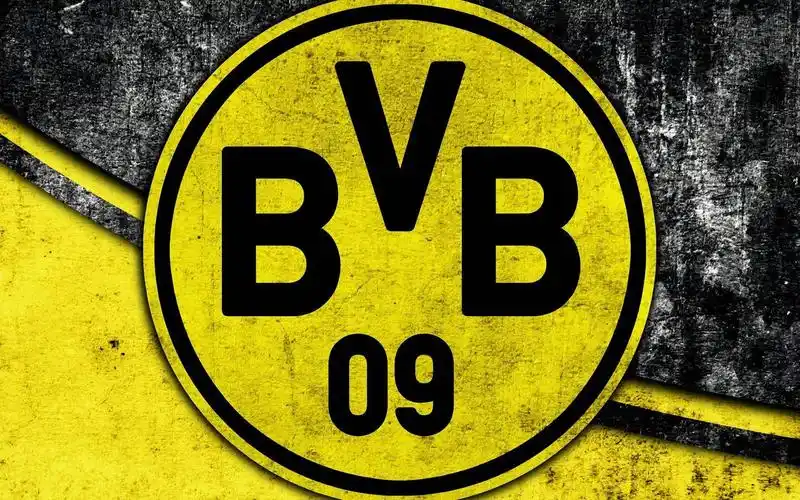 对话|为什么足坛新星都选择多特蒙德?这是他们的财富密码