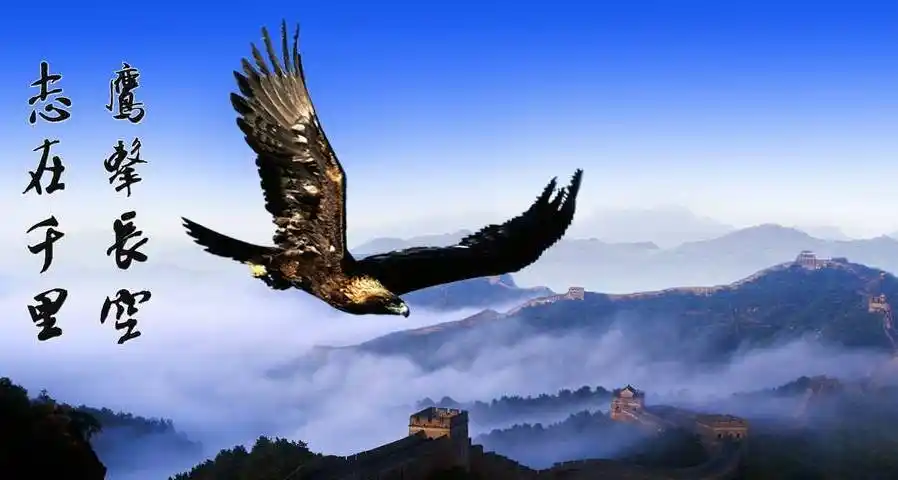 傅彪丨鹰击长空飞凡人生