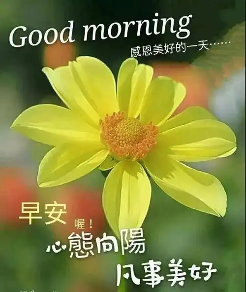 非常漂亮的早上好问候语图片表情大全 温馨早晨祝福图