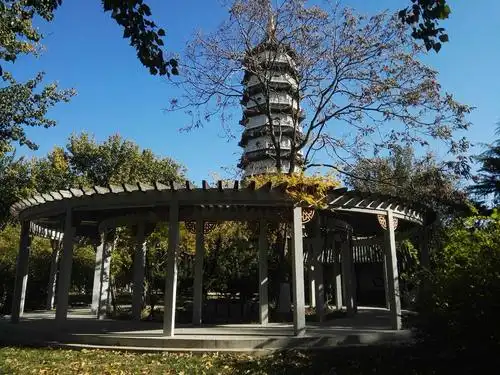 去北宁公园寻找红枫叶