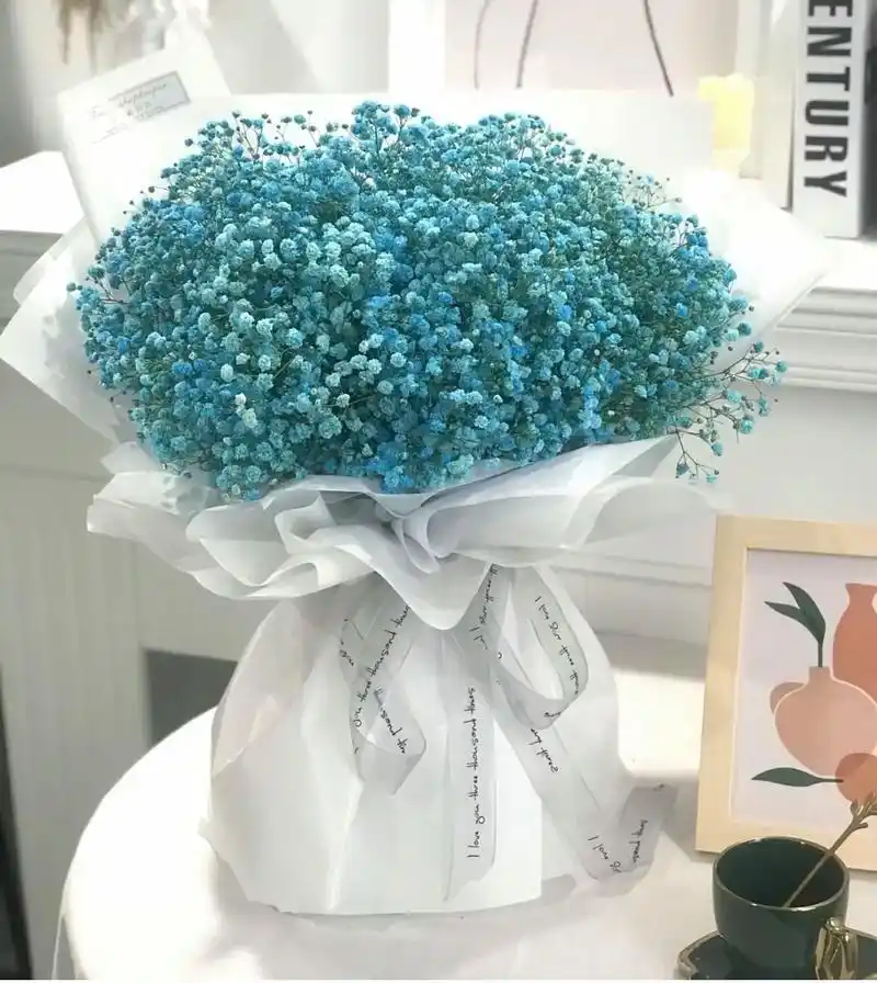 蓝色满天星.不管是送男士还是女士都很合适额包装时用的是鲜花 - 抖音