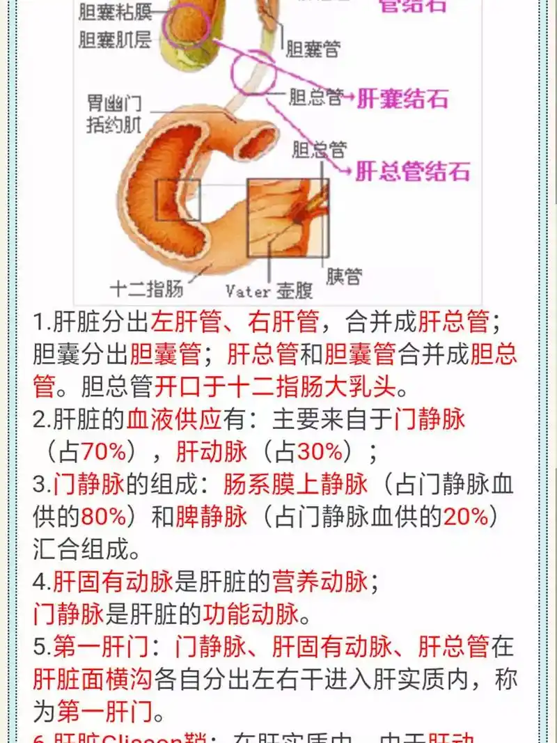2.     胆囊三角:由胆囊管,肝总管,肝脏下缘构成. 3.
