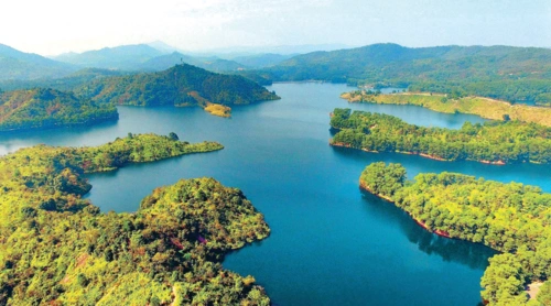 图丨《惠州红花湖》摄影:杨建业