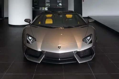 全身金色的兰博基尼,应该是我亲眼见过看起来最酷的车了,你觉得呢?