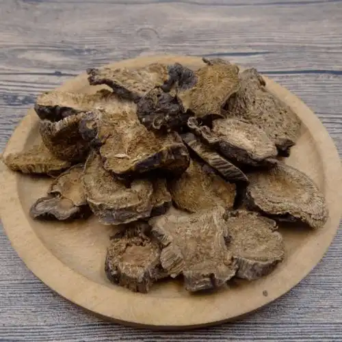 每天学一味中药,土大黄!