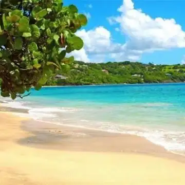 长辈头像大全唯美风景爸爸妈妈的微信头像海边美景