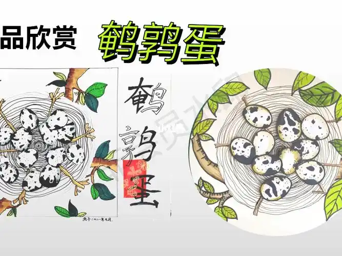 鹌鹑蛋创意美术ppt