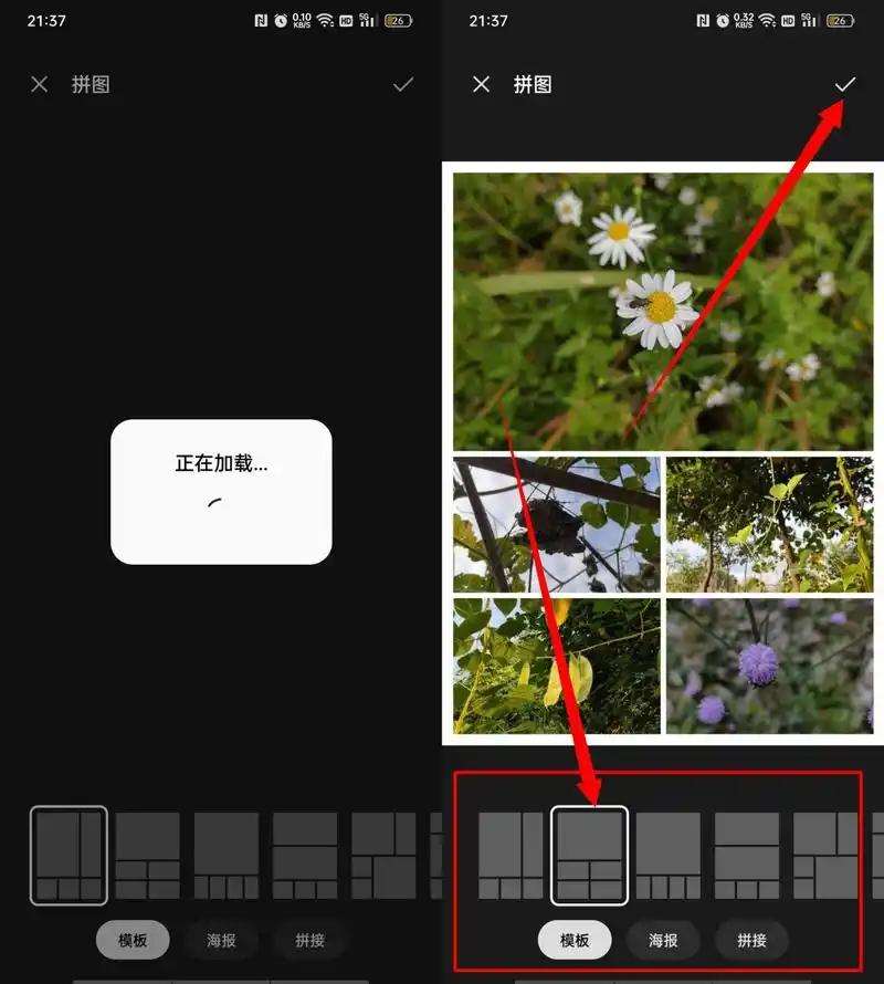 手机怎么拼图多张照片?别再去求人了!只需学会这四步,快速搞定