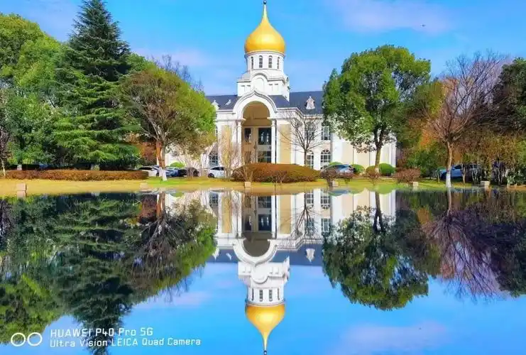 春色满园,上海外国语大学美景如画_上观新闻