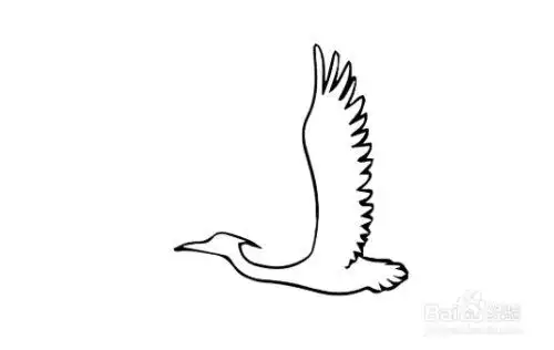 白鹭怎么画好看