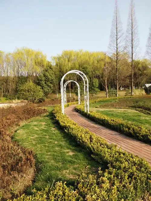 城市生态森林公园