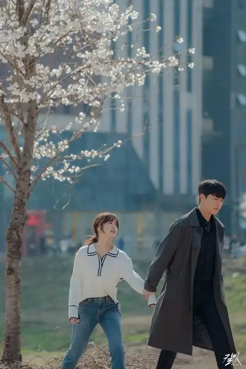 张基龙林珍娜韩剧killit剧照更新20190422共417张