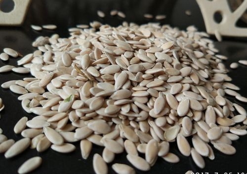 甜瓜子 甜瓜籽 香瓜子500克