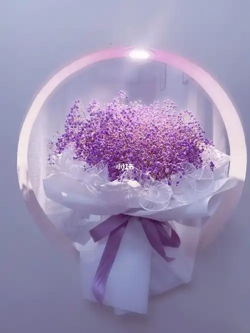 紫色满天星花束