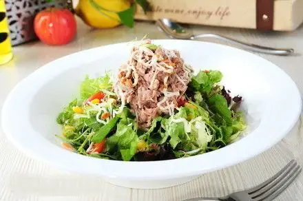 金枪鱼蔬菜沙拉