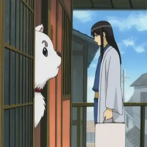 银魂桂小太郎定春自截头像