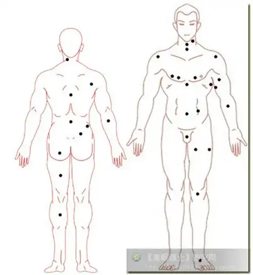 女人肩膀厚有依靠,如果女性的肩肩膀厚而圆润!